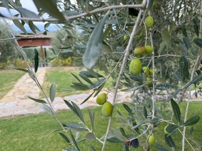 Umbrija Italija 2024