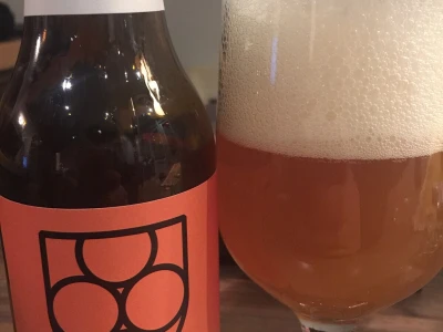 Upoznajte "alhemičarku" koja hmelj, ječam, slad i vodu pretvara u pivo