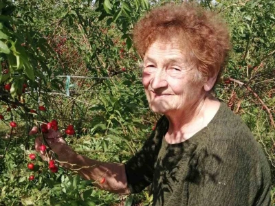 Uzgajanje šipurka
