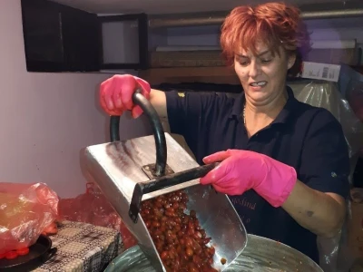 Uzgajanje šipurka