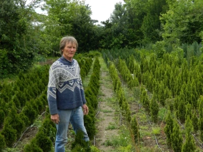 Uživa u raskošnoj lepoti paunova