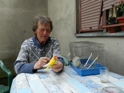 Uživa u raskošnoj lepoti paunova