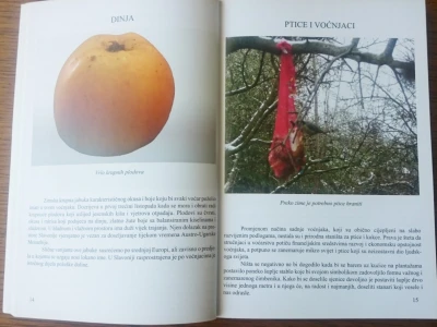 OPG Veić