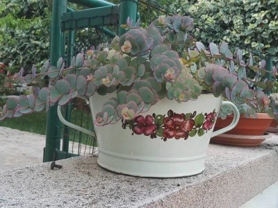 foto Vesna Ujević