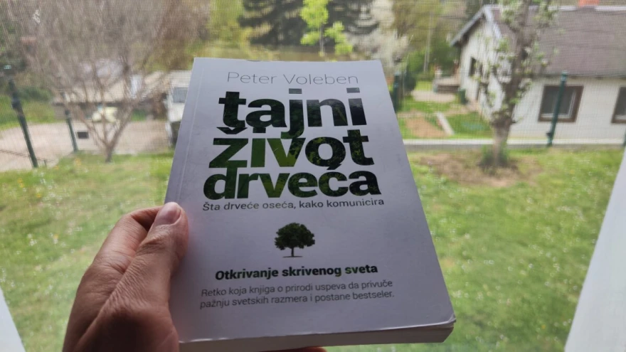 Slika knjiga