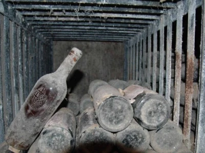 Vredna vina iz enoeke Karađorđevića