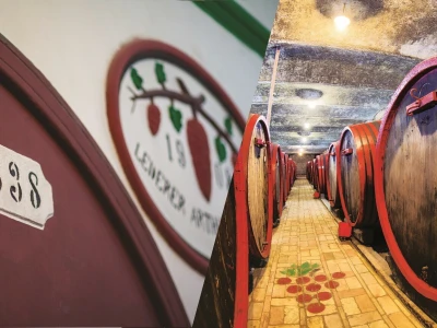 Vinarija Čoka neguje tradiciju dugu više od 100 godina