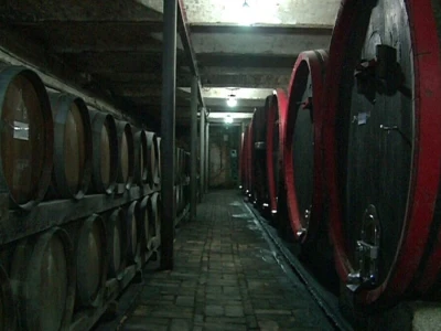 Vinarija Čoka neguje tradiciju dugu više od 100 godina