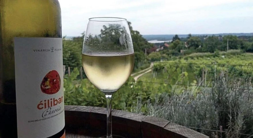 Vino u fla&scaron;i