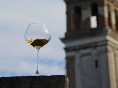 Vinarija Venissa tek nekoliko centimetara nad morem