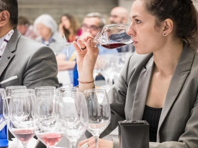 Vinitaly 2024: Najveća svjetska izložba vina 56. put u Veroni