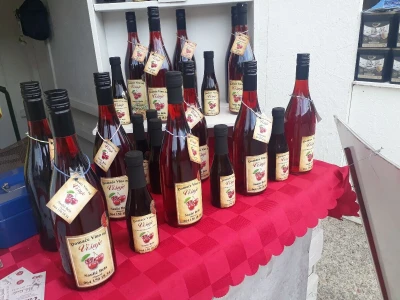Vino od višnje Bele Saulića iz Bajmoka kraj Subotice