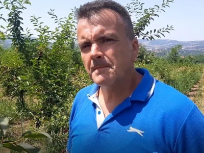 Višnja iz Topole