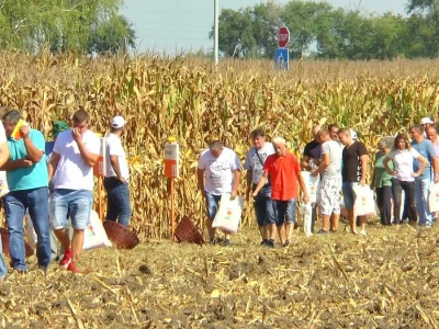 KWS Srbija: Dan polja 2018 Bečej