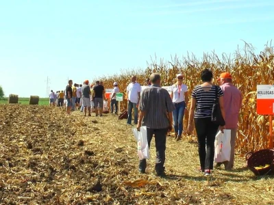 KWS Srbija: Dan polja 2018 Bečej