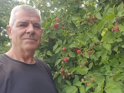 Voće Neše Đokića sa Kosova i Metohije