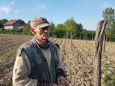 VOĆNJAK IZ DOBA KORONE