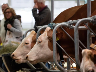 Vodeći sajam za animalnu proizvodnju - EuroTier u Hanoveru