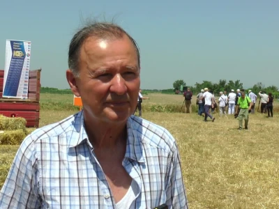 Vojvođanski paori očekuju skromnu zaradu na pšenici