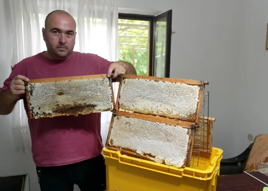 Žarko sa saćem