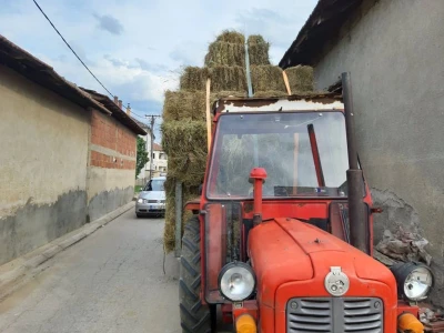 Vranje - žetva