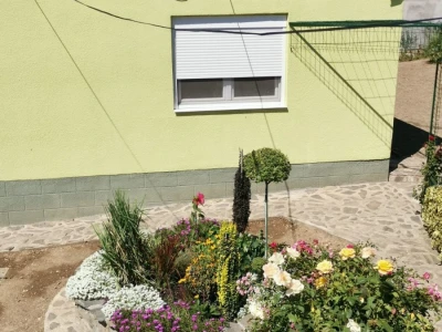 Vrt sa stotinama biljaka