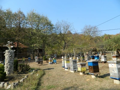 Zahvalnost za sve što su pčele učinile za njega