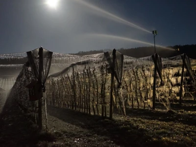 Zaštita od mraza