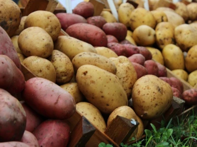 Zeleni dragulji prirode na Agri