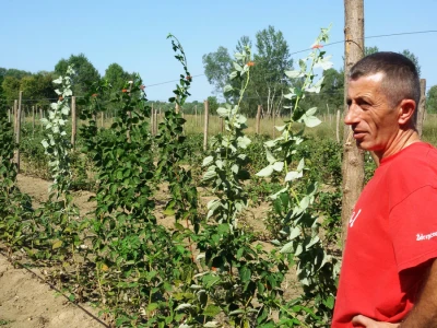 zeljko_simic_malinar