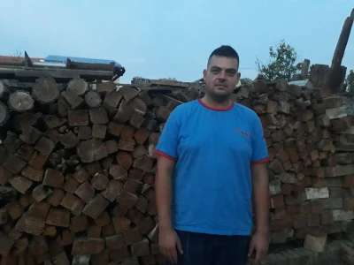 Žetva suncokreta
