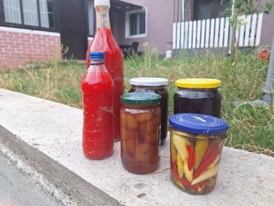 Zimnica