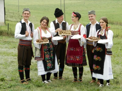 Zlatarski sir kvalitet duguje planinskim travama