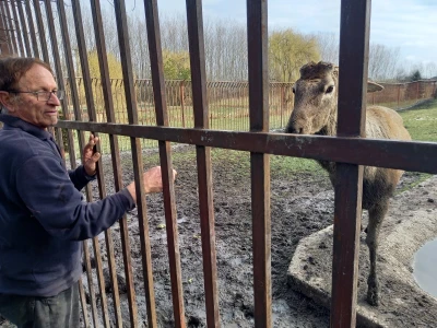 Zoo vrt "Miki" u Kolutu