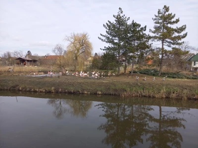 Zoo vrt "Miki" u Kolutu