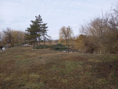 Zoo vrt "Miki" u Kolutu