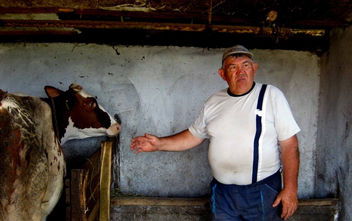 Tomislav Radonić