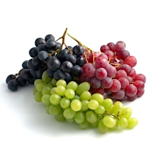 Stone sorte vinove loze