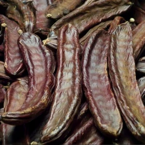 Rogač