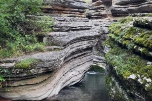 Složni (smo) u očuvanju reka Stare planine
