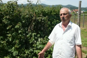 Država ti vrati 60 odsto, ti nećeš da osiguraš - pa šta 'oćeš onda?