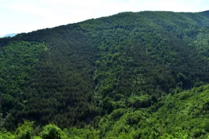 Proglašena zaštita Predela izuzetnih odlika "Maljen"
