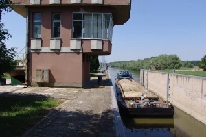 Talas zagađene vode stigao do Bečeja