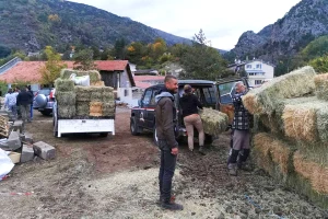 Najbolje seno na svetu košta do 250 evra po toni - po čemu je posebno?
