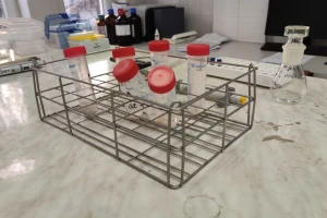 Put aflatoksina od njive do sira: Da li smo ugroženi - šta će pokazati analize?