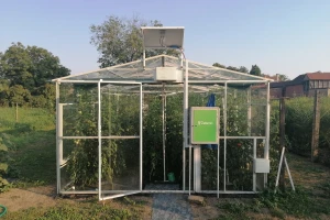Pametna staklena bašta rešila problem nedostatka radne snage