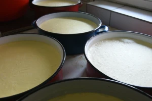 Kraljevački kajmak: Tradicija pravljenja ili savremena proizvodnja?