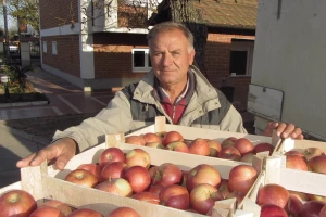 Rast cene jabuke od Nove godine