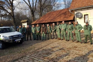 Zbog afričke kuge u Srbiji u toku odstrel divljih svinja