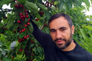Vladimir Popić: Celokupnu proizvodnju trešanja izvozimo u Italiju i Nemačku